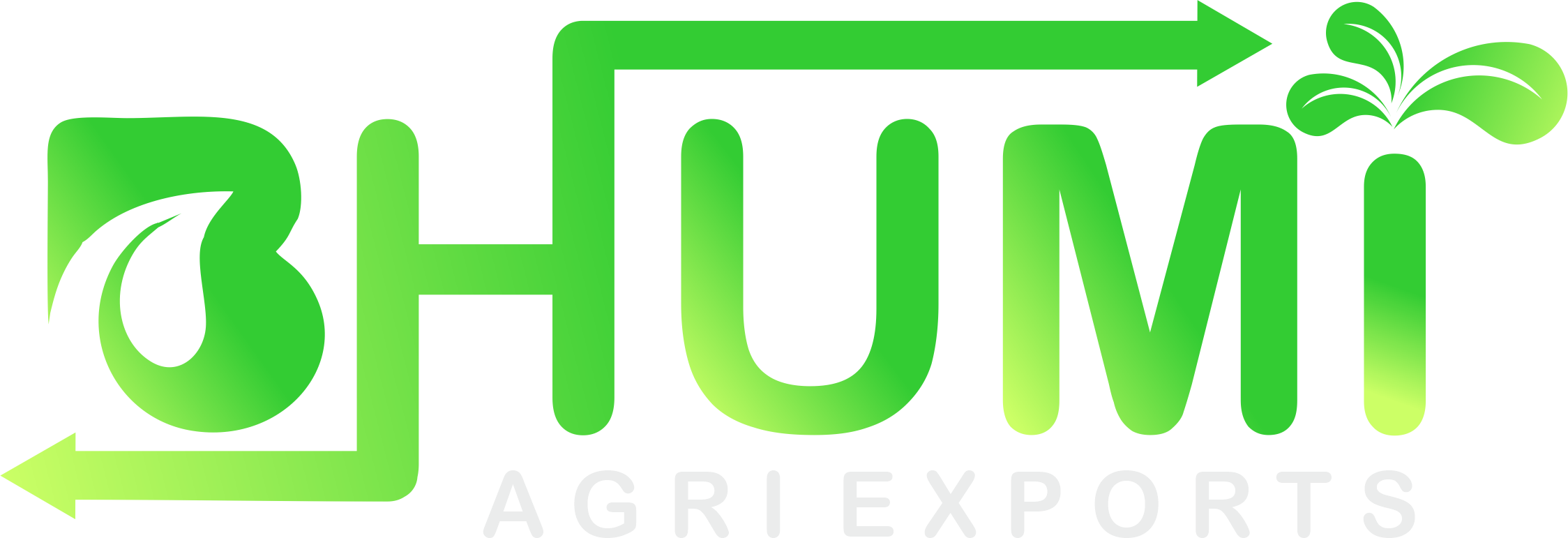 Bhumi Agri Exports Logo